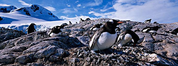 《狙击精英5》玩家总数超500万 击毙敌人超13亿